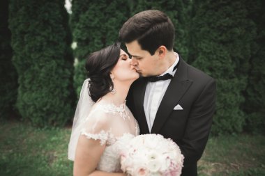 Botanik parkında yürüyen mutlu bir çift.