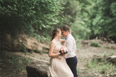 Güzel düğün çifti bir dağ nehrinin kıyısında taşlarla öpüşüp kucaklaşıyorlar.
