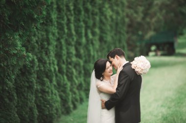 Botanik parkında yürüyen mutlu bir çift.