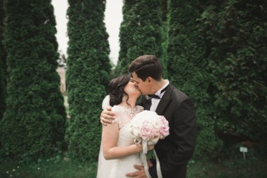 Botanik parkında yürüyen mutlu bir çift.