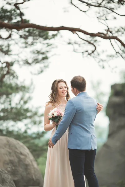 Linda noiva, noivo beijando e abraçando perto das falésias com vistas deslumbrantes — Fotografia de Stock