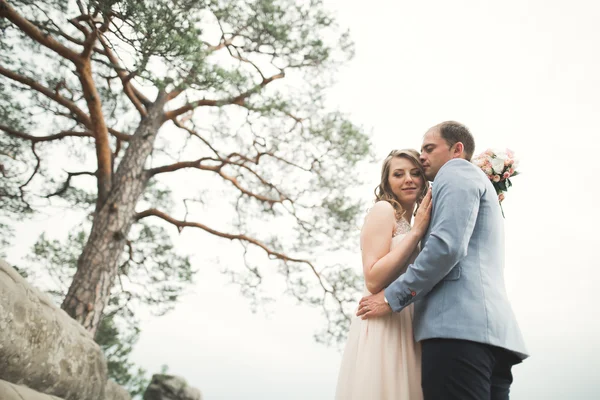 Wedding couple in love kissing and hugging near rocks on beautiful landscape — Stock Photo, Image