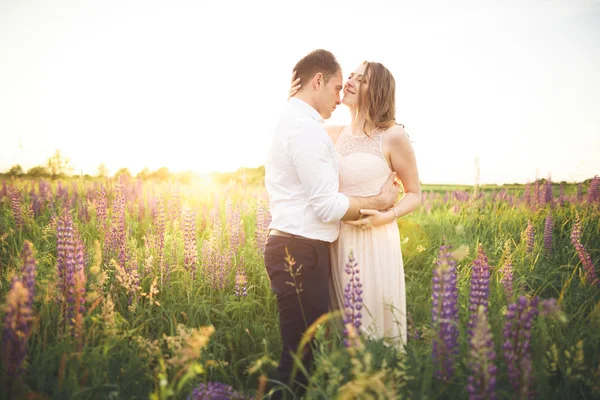 Prachtige paar, bruid, bruidegom zoenen en knuffelen in de veld-zonsondergang — Stockfoto