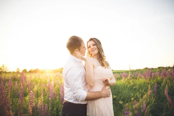 Bride holds grooms neck while he kisses her in the rays of sunset — Stock Photo, Image