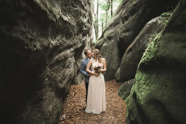 Superbe couple de mariage embrasser et embrasser dans la forêt avec de gros rochers — Photo