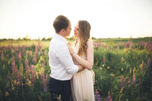 Schönes Hochzeitspaar, Liebe im Sonnenuntergang. Feld mit Blumen — Stockfoto