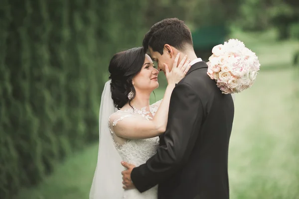 Pareja feliz boda caminando en un parque botánico — Foto de Stock