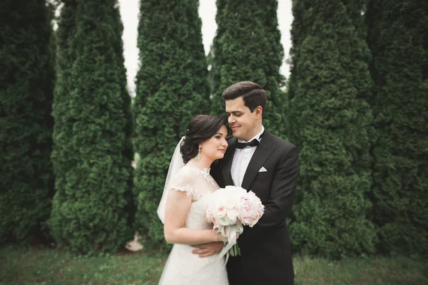 Pareja feliz boda caminando en un parque botánico —  Fotos de Stock