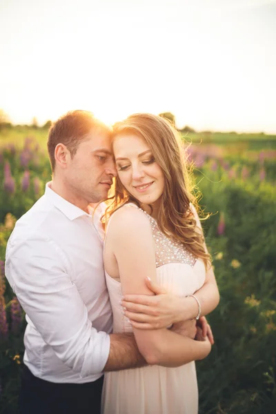 Beau couple, mariée, marié baisers et câlins dans le champ coucher de soleil — Photo