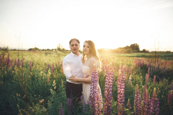 Sposa tiene sposi collo mentre lui la bacia nei raggi del tramonto — Foto Stock