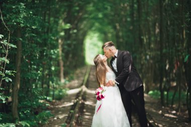 Genç düğün çift, gelin ve damat bir demiryolundan poz