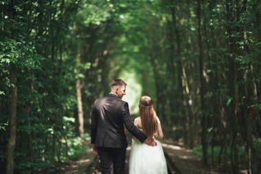 Güzel, mükemmel çift düğün gününde poz