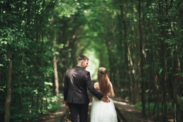 Bonito, casal perfeito posando em seu dia do casamento — Fotografia de Stock