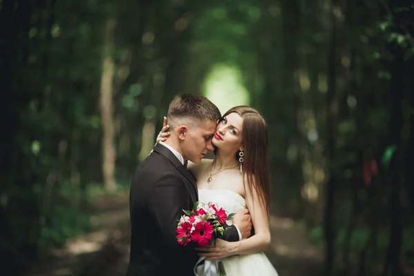 Casal de casamento jovem, noiva e noivo posando em uma trilha ferroviária — Fotografia de Stock