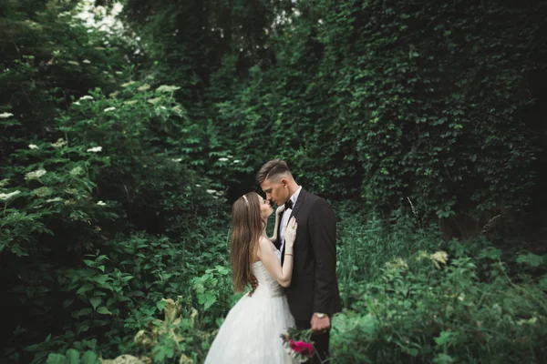 Nézd a zöld levelek, egy csók esküvői pár — Stock Fotó