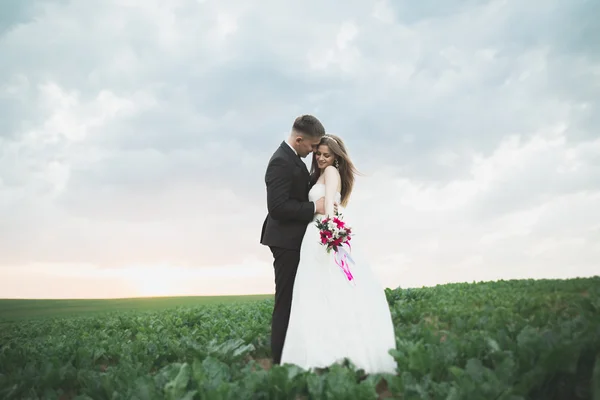 Preciosa pareja joven novia y novio en el fondo de la puesta del sol. Hermoso cielo —  Fotos de Stock