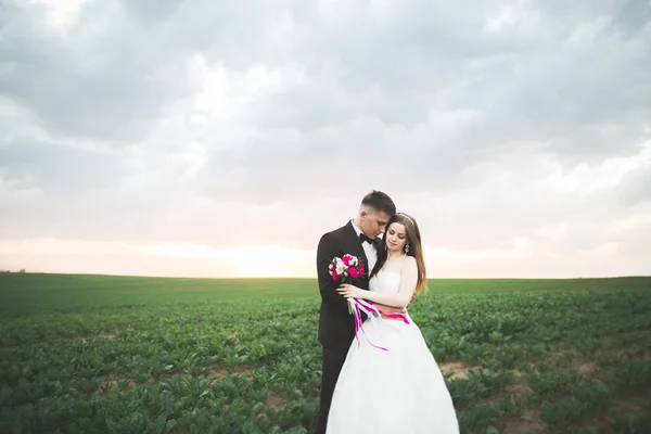 Belo casal no campo, Amantes ou recém-casados posando no pôr do sol com céu perfeito — Fotografia de Stock