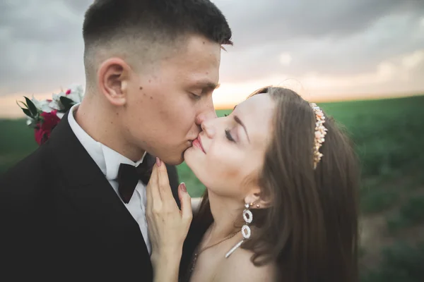 Boda, hermosa novia romántica y novio besándose abrazándose al atardecer — Foto de Stock