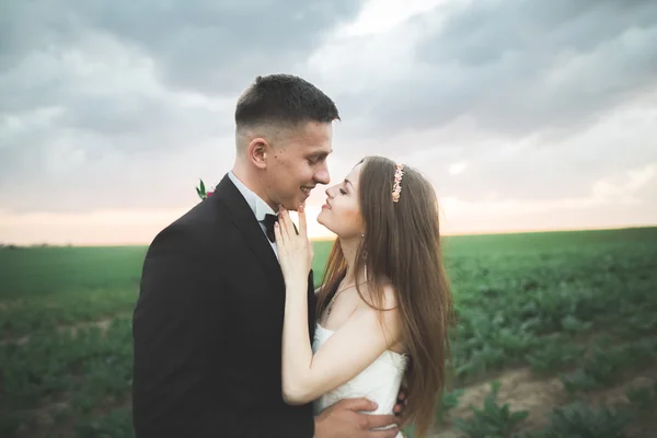 Hermosa pareja de boda, amor al atardecer. Fielf con flores —  Fotos de Stock