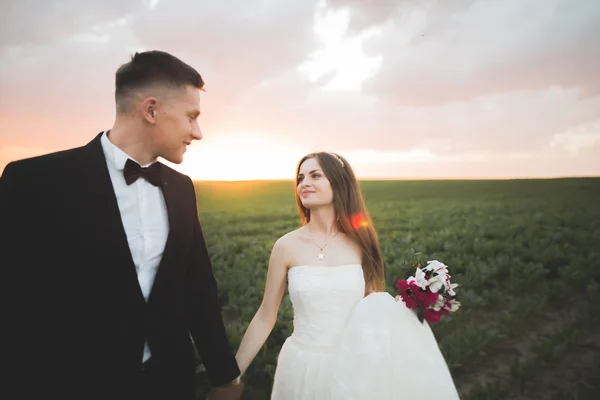 Hermosa pareja de boda, amor al atardecer. Fielf con flores — Foto de Stock