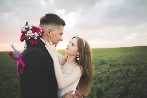 Hermosa pareja de boda, amor al atardecer. Fielf con flores — Foto de Stock