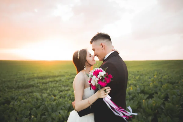 Hermosa pareja de boda, amor al atardecer. Fielf con flores — Foto de Stock