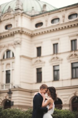 Güzel düğün çift, Gelin, damat öpüşme ve tiyatro arka planı sarılma