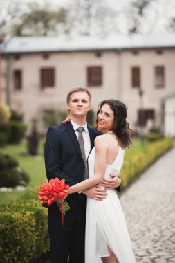 Zarif nazik şık damat, Gelin gülümseyen ve yakın park öpüşme