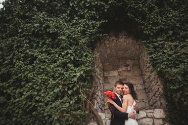 Zarif güzel düğün çift, gelin ve damat çalılar duvarına yakın park poz