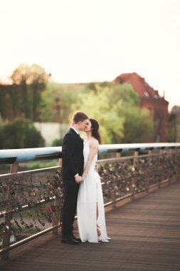 Muhteşem düğün çift, gelin ve damat Krakow Bridge'de poz