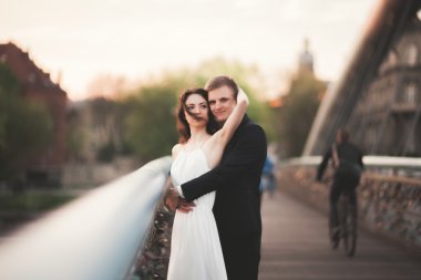 Muhteşem düğün çift, gelin ve damat Krakow Bridge'de poz