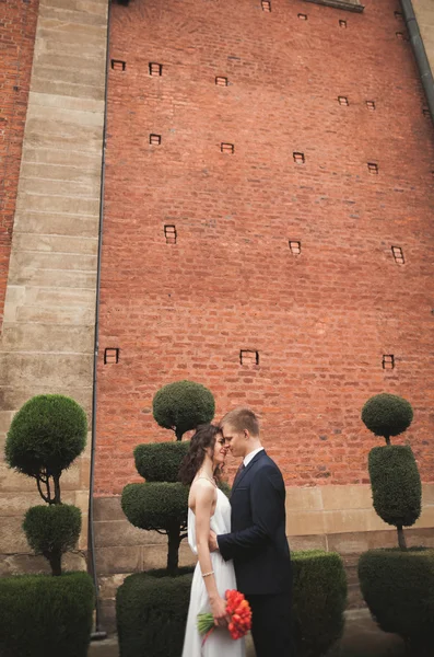 Elegante coppia di nozze amorevole baci e abbracci nel parco sullo sfondo della Grande Muraglia — Foto Stock