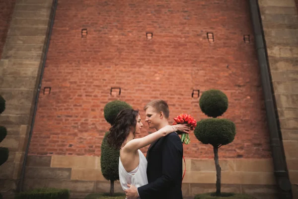 Стильний Loving весілля пари цілуватися торговий центр і обіймає в парку тлі Велика Стіна — стокове фото