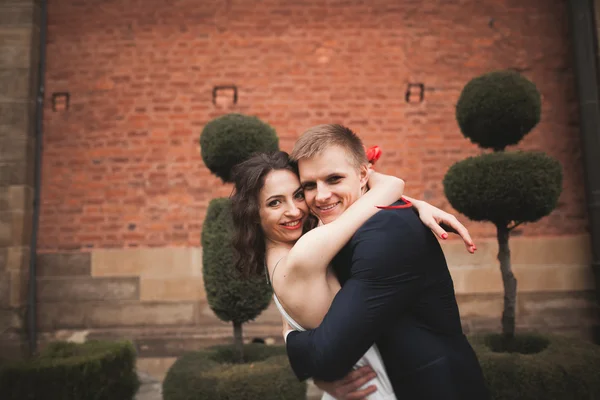 Casal amoroso elegante beijando e abraçando no parque contra o pano de fundo da Grande Muralha — Fotografia de Stock