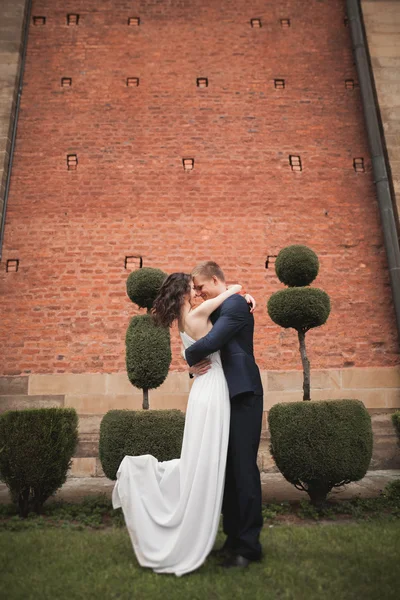 Stilvoll verliebtes Hochzeitspaar küsst und umarmt sich im Park vor der Kulisse der großen Mauer — Stockfoto