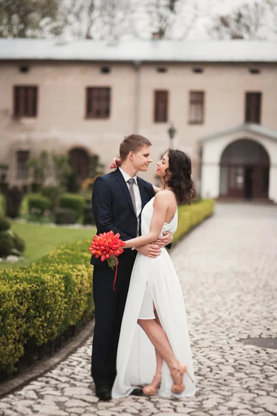 Elegante noivo elegante suave, noiva sorrindo e beijando perto do parque — Fotografia de Stock
