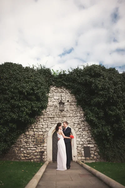 Zarif güzel düğün çift, gelin ve damat çalılar duvarına yakın park poz — Stok fotoğraf