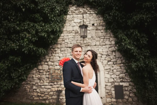 Elegante bella coppia di sposi, sposa e sposo in posa nel parco vicino a un muro di cespugli — Foto Stock