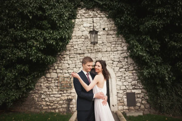 Υπέροχος newlywed θέτοντας κοντά στην όμορφη τοίχος δέντρα θάμνους φυτά στην ημέρα του γάμου τους — Φωτογραφία Αρχείου
