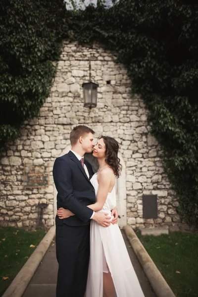 Splendido sposo posa vicino a un bellissimo muro di piante cespugli alberi nel loro giorno del matrimonio — Foto Stock
