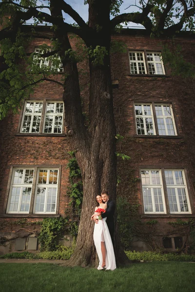 Hermoso recién casados posando cerca de la hermosa pared de plantas arbustos árboles en el día de su boda —  Fotos de Stock