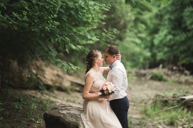 Güzel düğün çifti bir dağ nehrinin kıyısında taşlarla öpüşüp kucaklaşıyorlar.