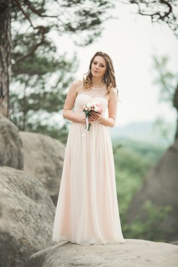Güzel gelin kaya arka plan yakınındaki dağlarda poz
