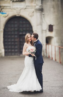 Mutlu düğün kaç sarılma ve birbirlerine arka plan eski kale üzerinde gülümseyen