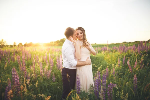 Emotionele mooie bruid knuffelen kersverse bruidegom achter de zonsondergang op een veld closeup — Stockfoto