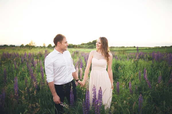 Young wedding couple walking on field with flowers — Stock Photo, Image
