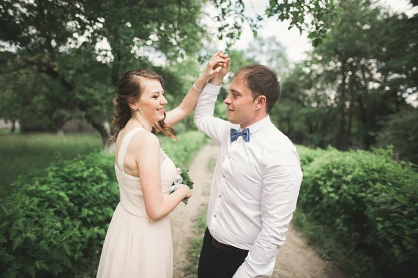 Pareja casada de lujo, novia y novio posando en el parque — Foto de Stock