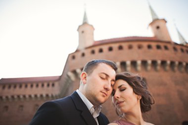 Mutlu düğün çift, damat, Gelin pembe elbise ile sarılma ve birbirlerine arka plan üzerinde gülümseyen duvarlar kalede