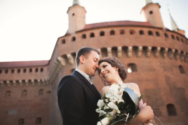 Mutlu düğün çift, damat, Gelin pembe elbise ile sarılma ve birbirlerine arka plan üzerinde gülümseyen duvarlar kalede