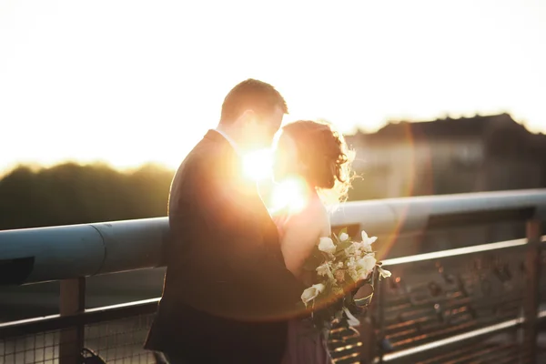 Elegante pareja de boda amorosa, novio, novia con vestido rosa besándose y abrazándose en un puente al atardecer —  Fotos de Stock